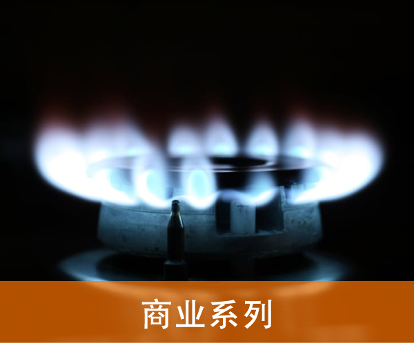 cgs-website-design_button-cn-9