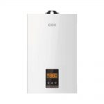 CGS CW-10F2TF-2(TG) TownGas 10 Liter Water Heater (Top Flue)