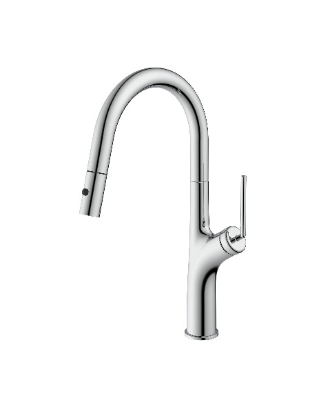 Richford Kitchen Faucet RF59705C